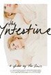 The Intestine