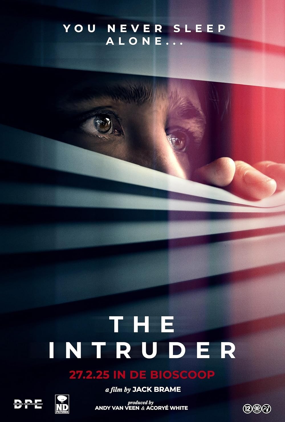 Poster de THE INTRUDER