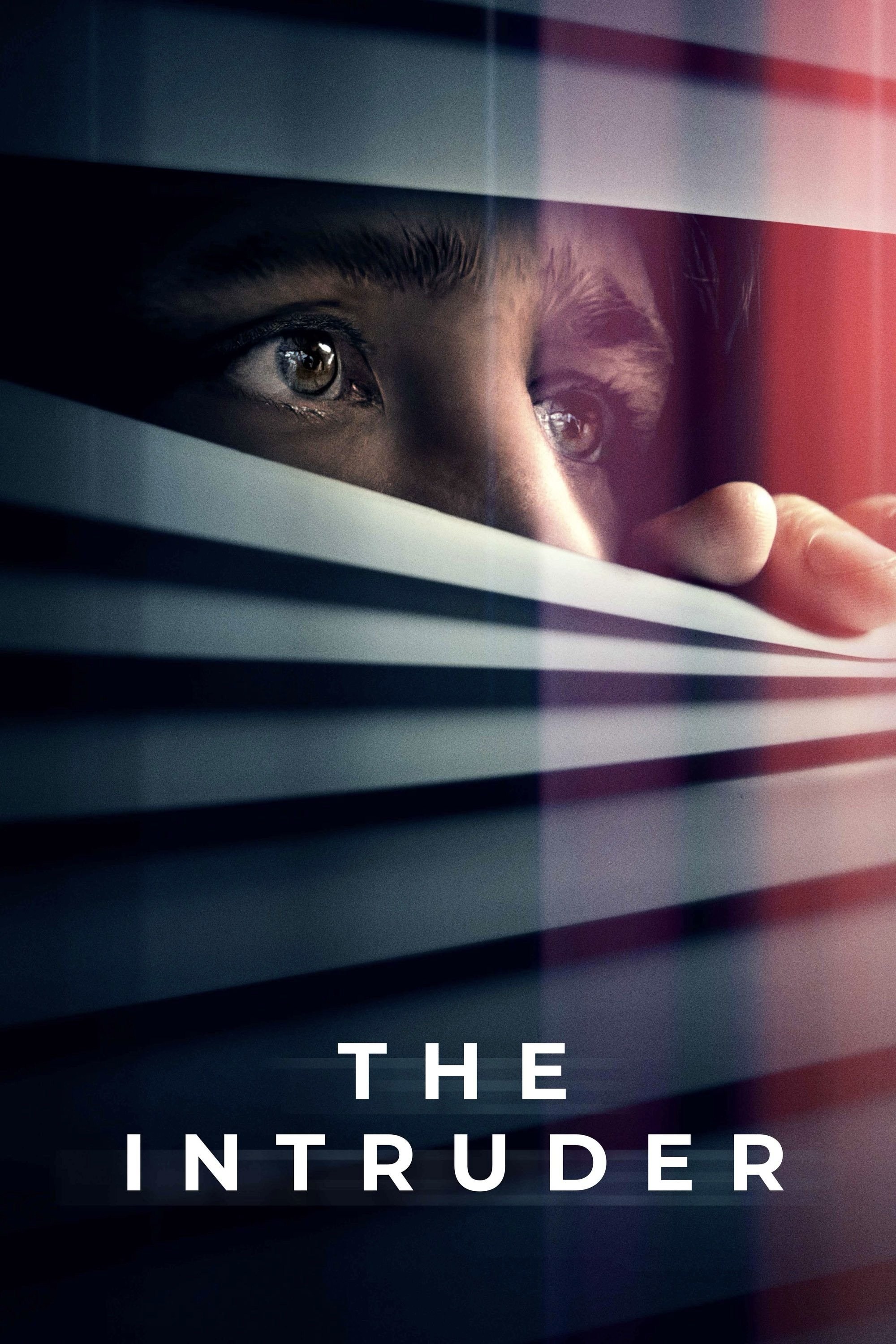 Poster de THE INTRUDER