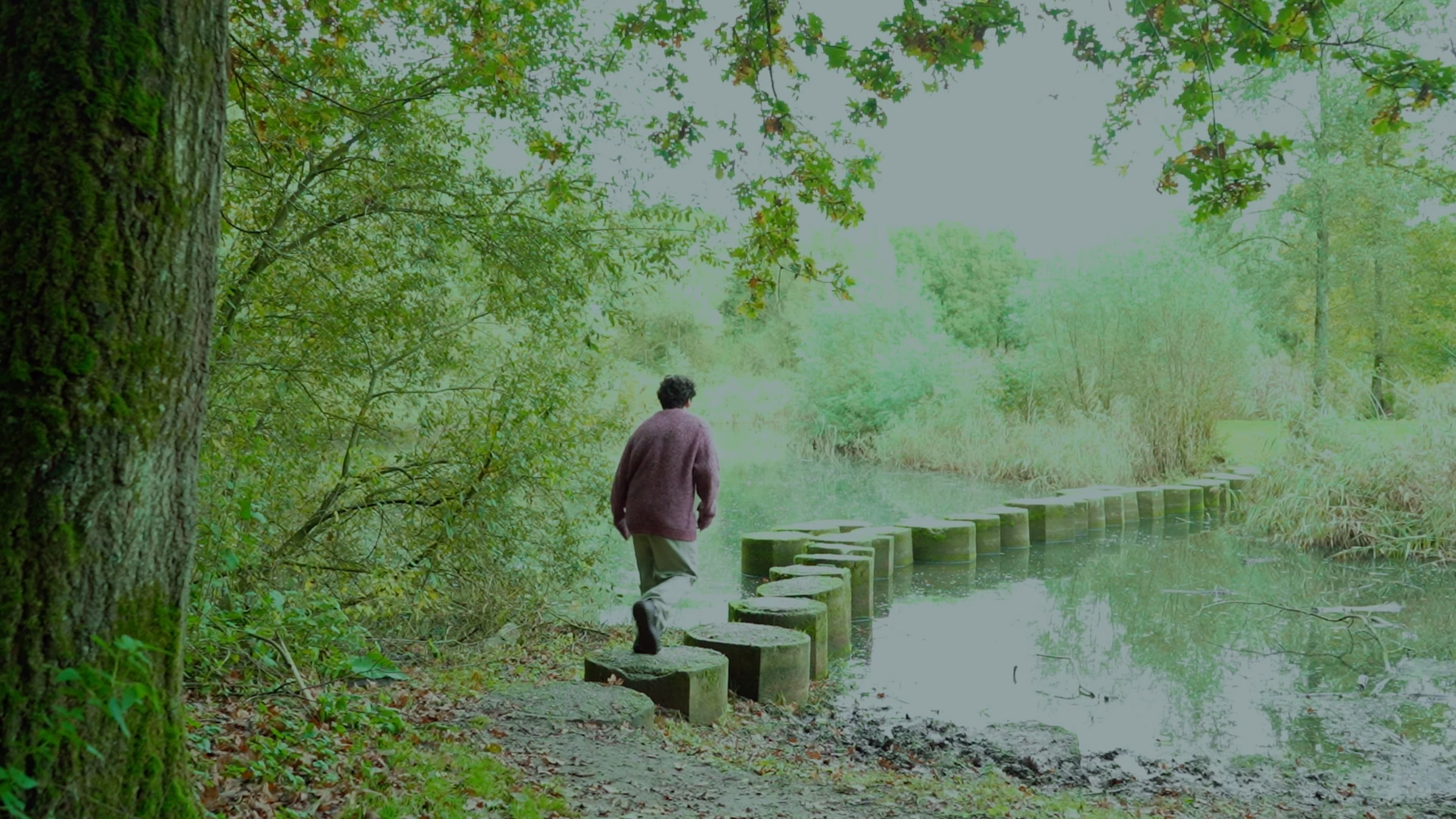 Foto de THE JOURNEY TO THE MAIN PROGRAM