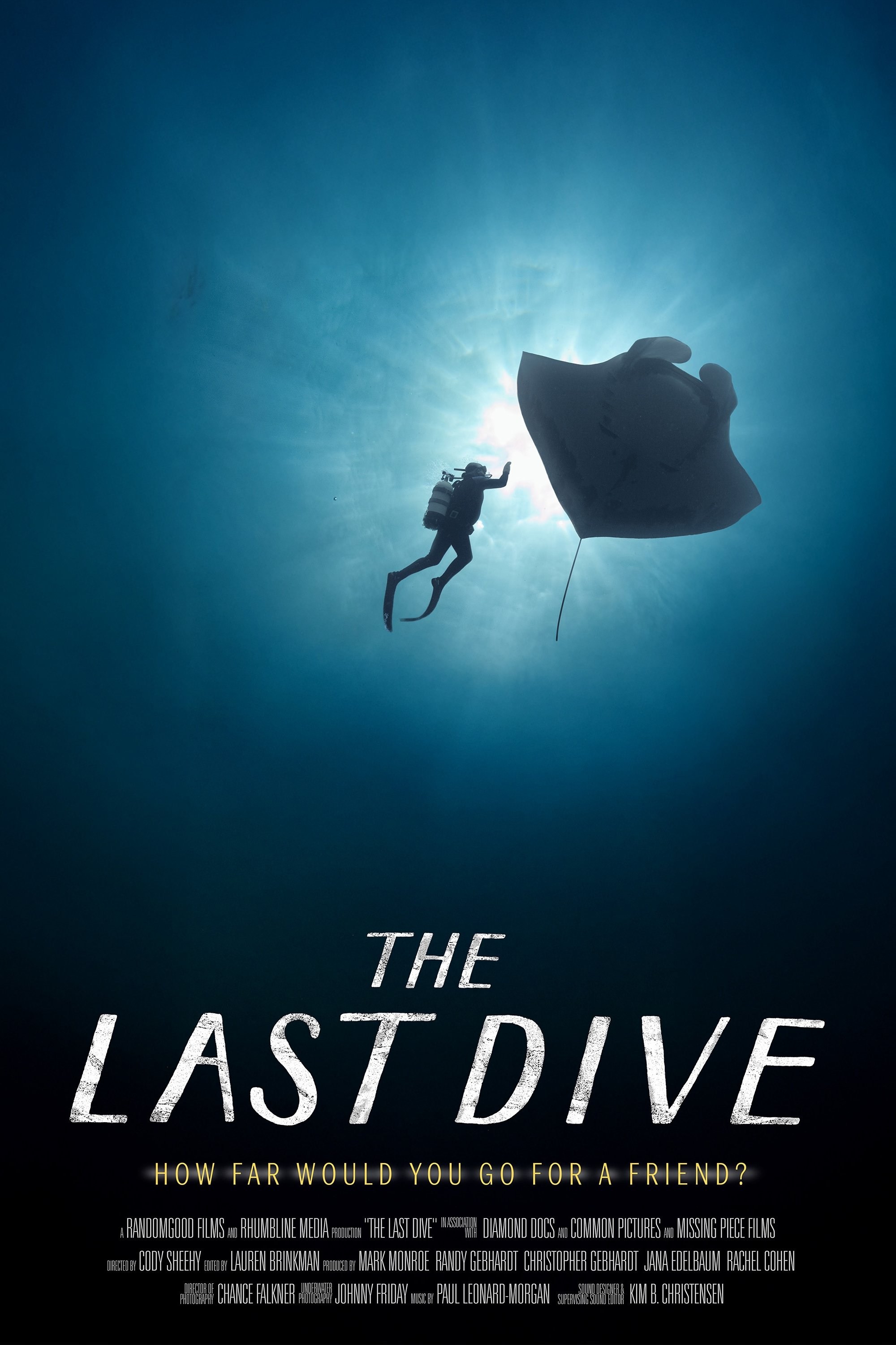 Poster de THE LAST DIVE