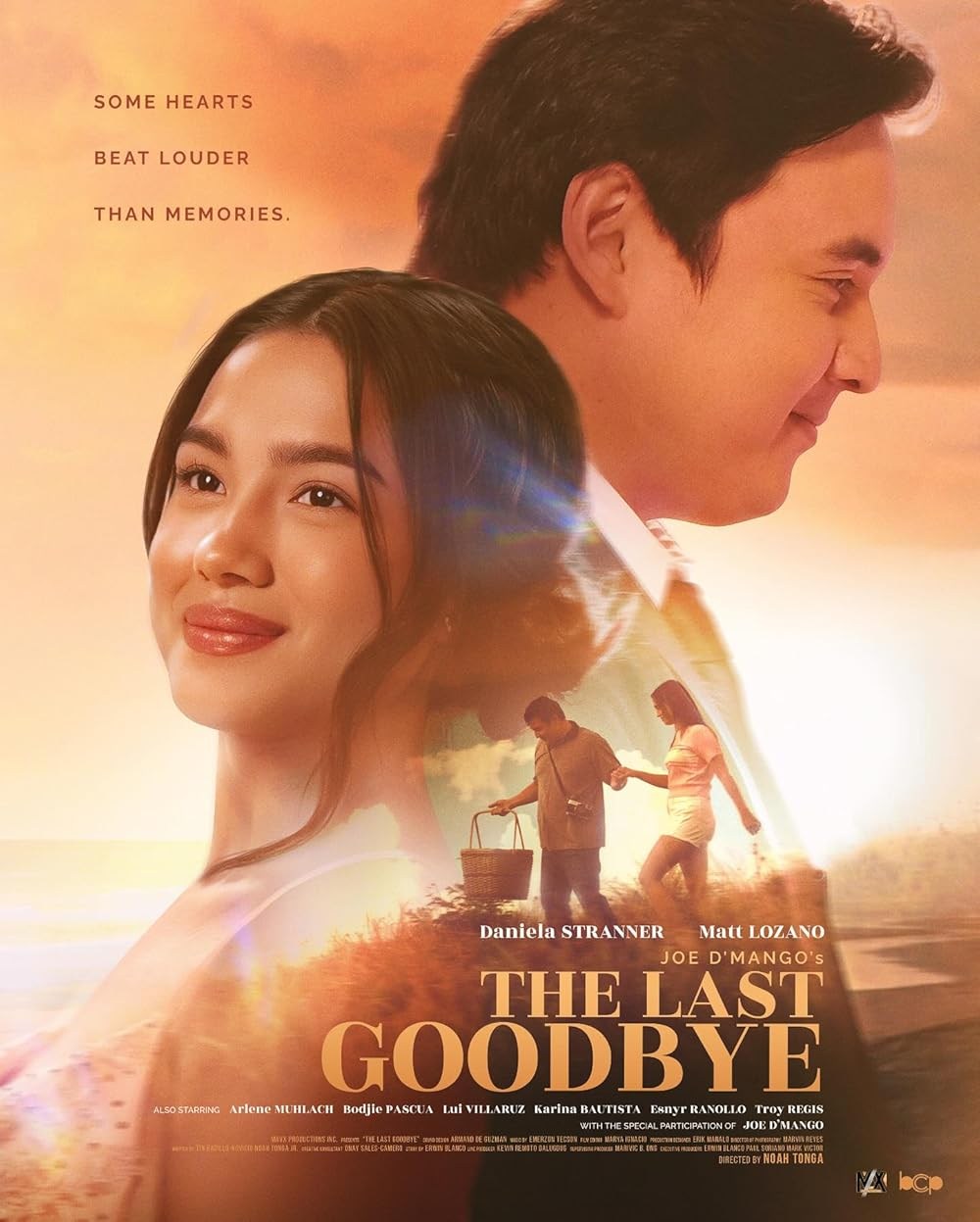 Poster de THE LAST GOODBYE