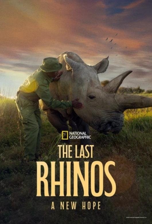 Poster de THE LAST RHINOS: A NEW HOPE