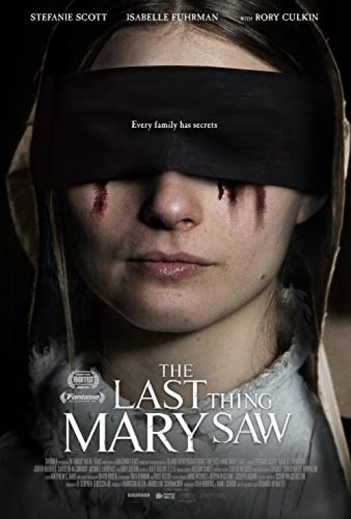 Poster de THE LAST THING MARY SAW