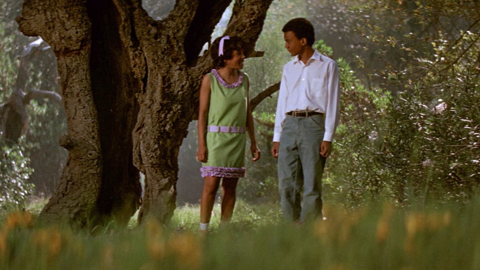 Foto de THE LEARNING TREE