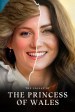 The Legacy of the Princess of Wales