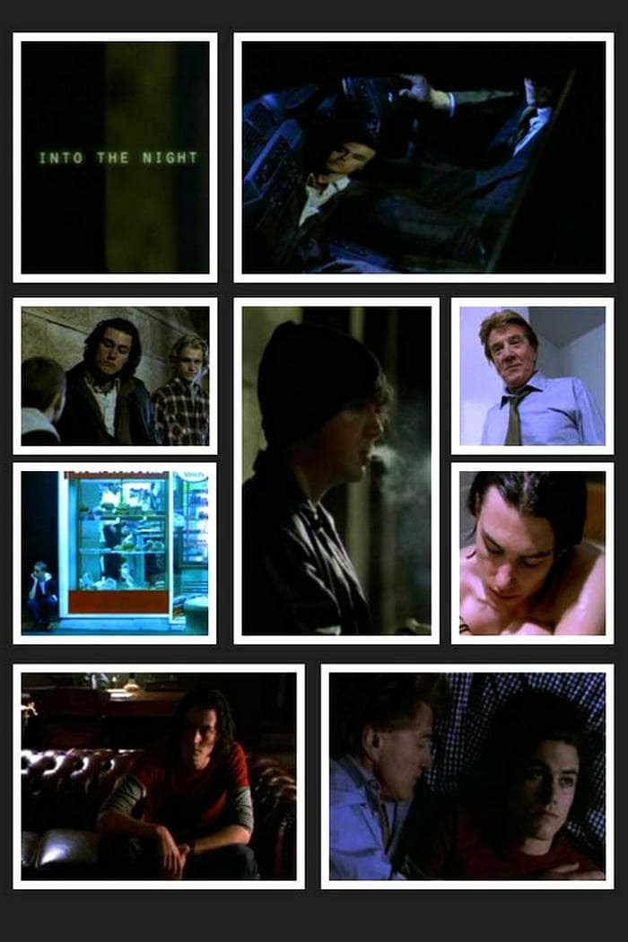 Poster de INTO THE NIGHT en inglés