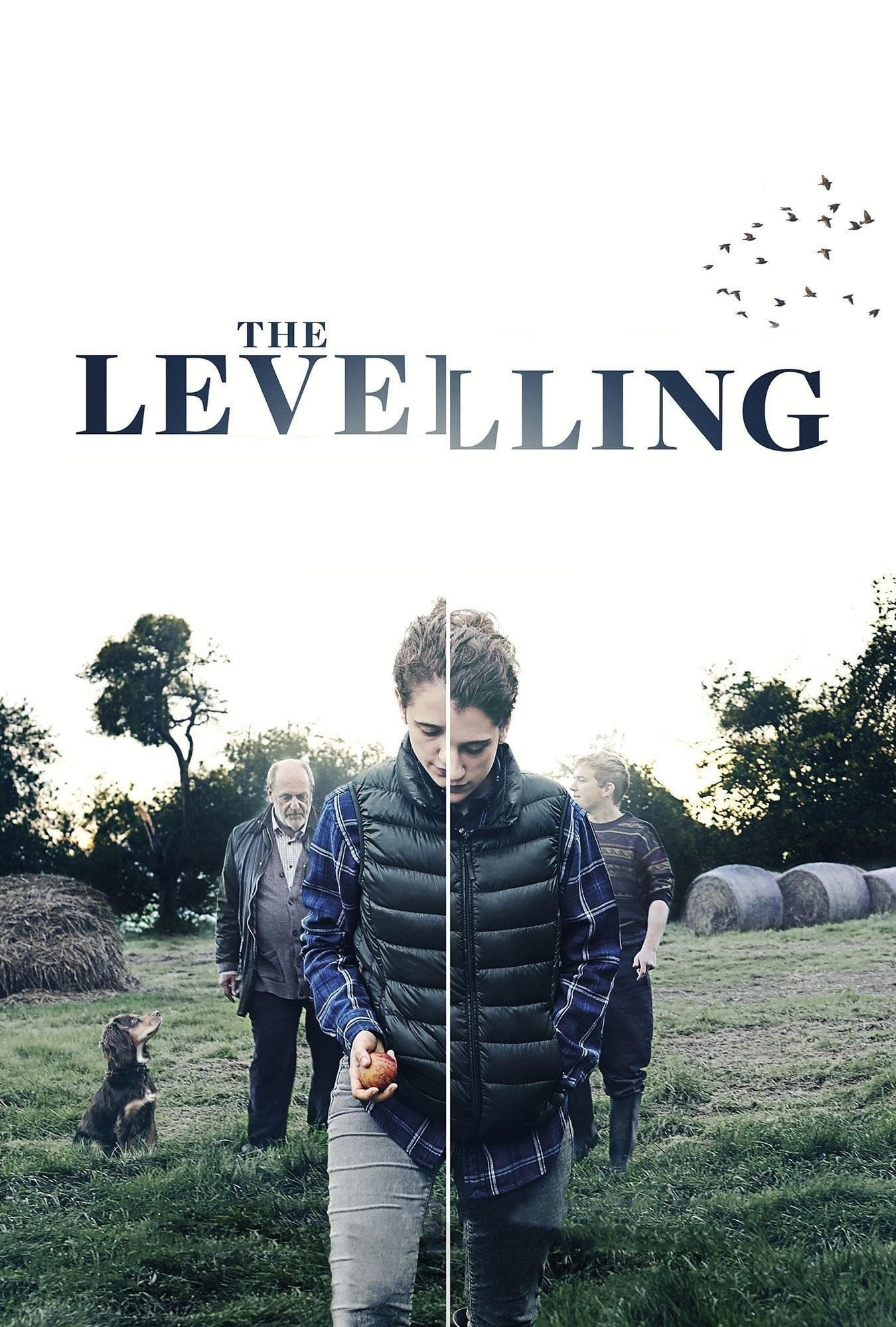 Poster de THE LEVELLING en inglés