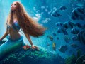 Foto de The Little Mermaid