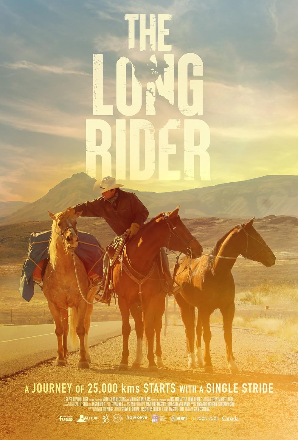 Poster de THE LONG RIDER