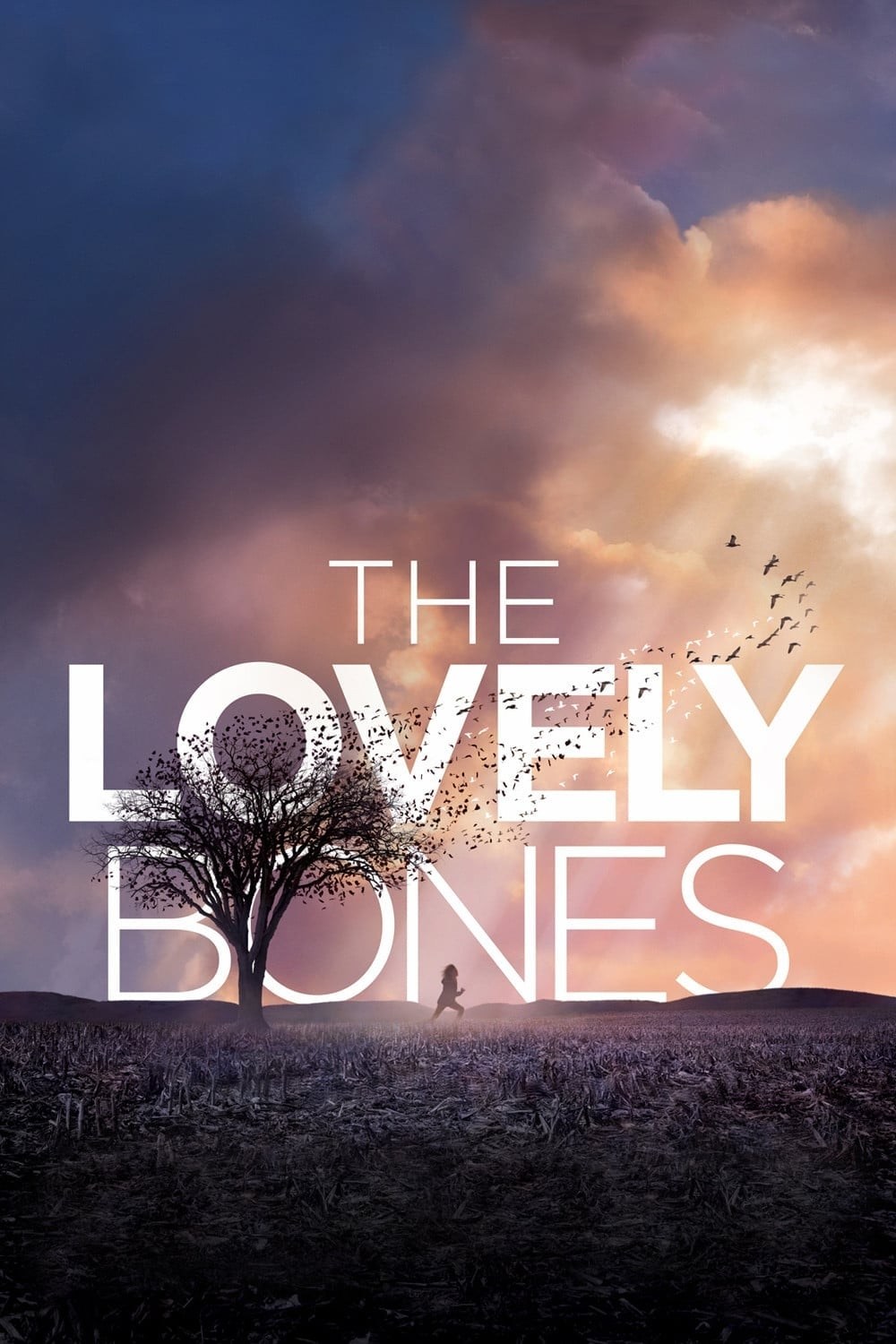 Poster de THE LOVELY BONES en inglés