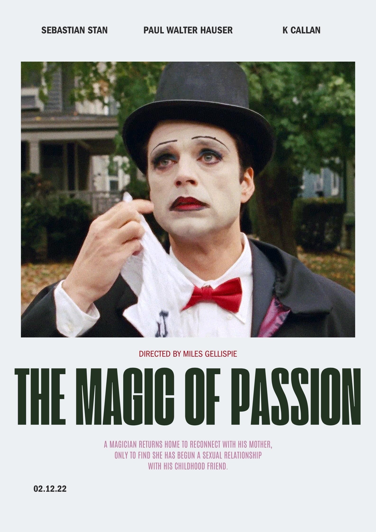 Poster de THE MAGIC OF PASSION