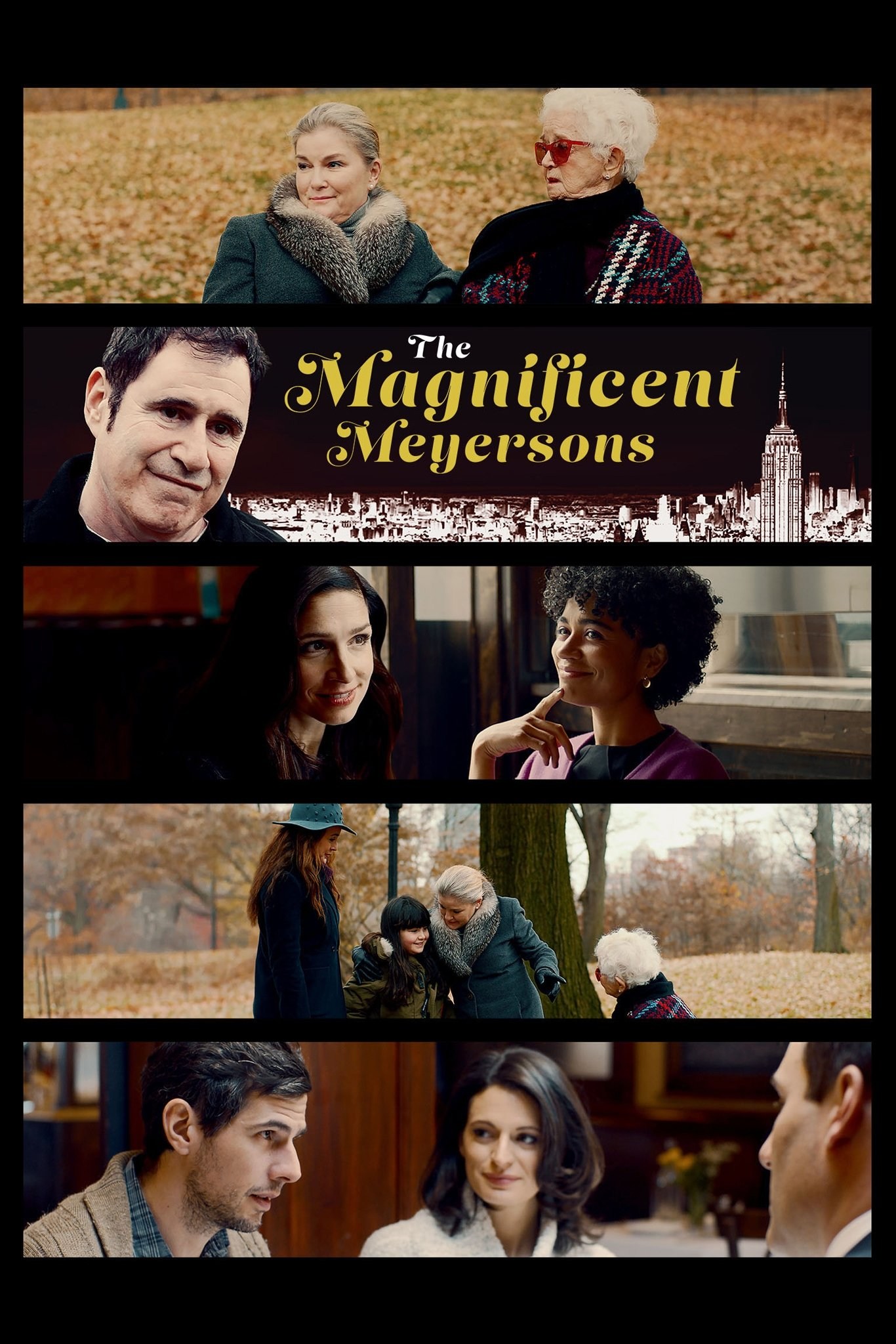 Poster de THE MAGNIFICENT MEYERSONS en inglés
