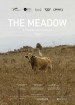 The Meadow