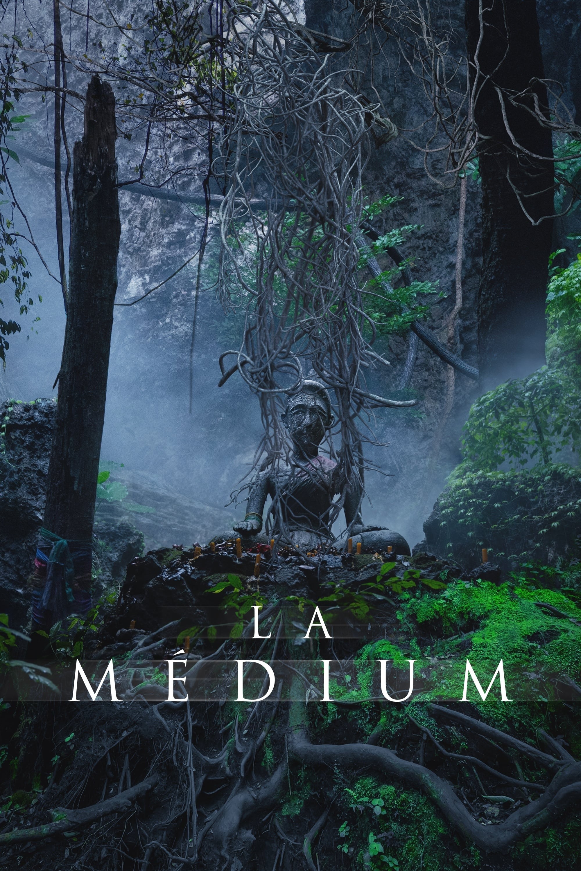 Poster de THE MEDIUM en español