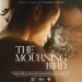 The Mourning Bird