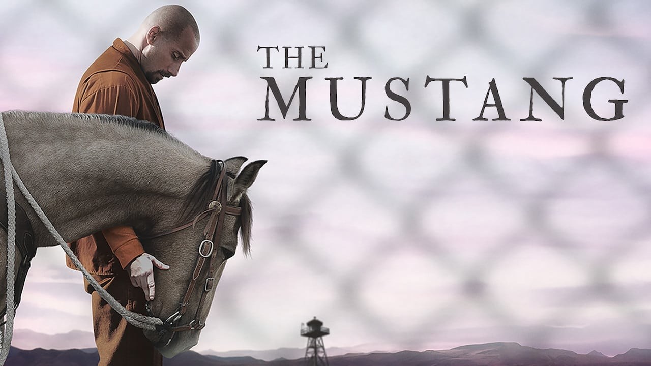 Foto de THE MUSTANG