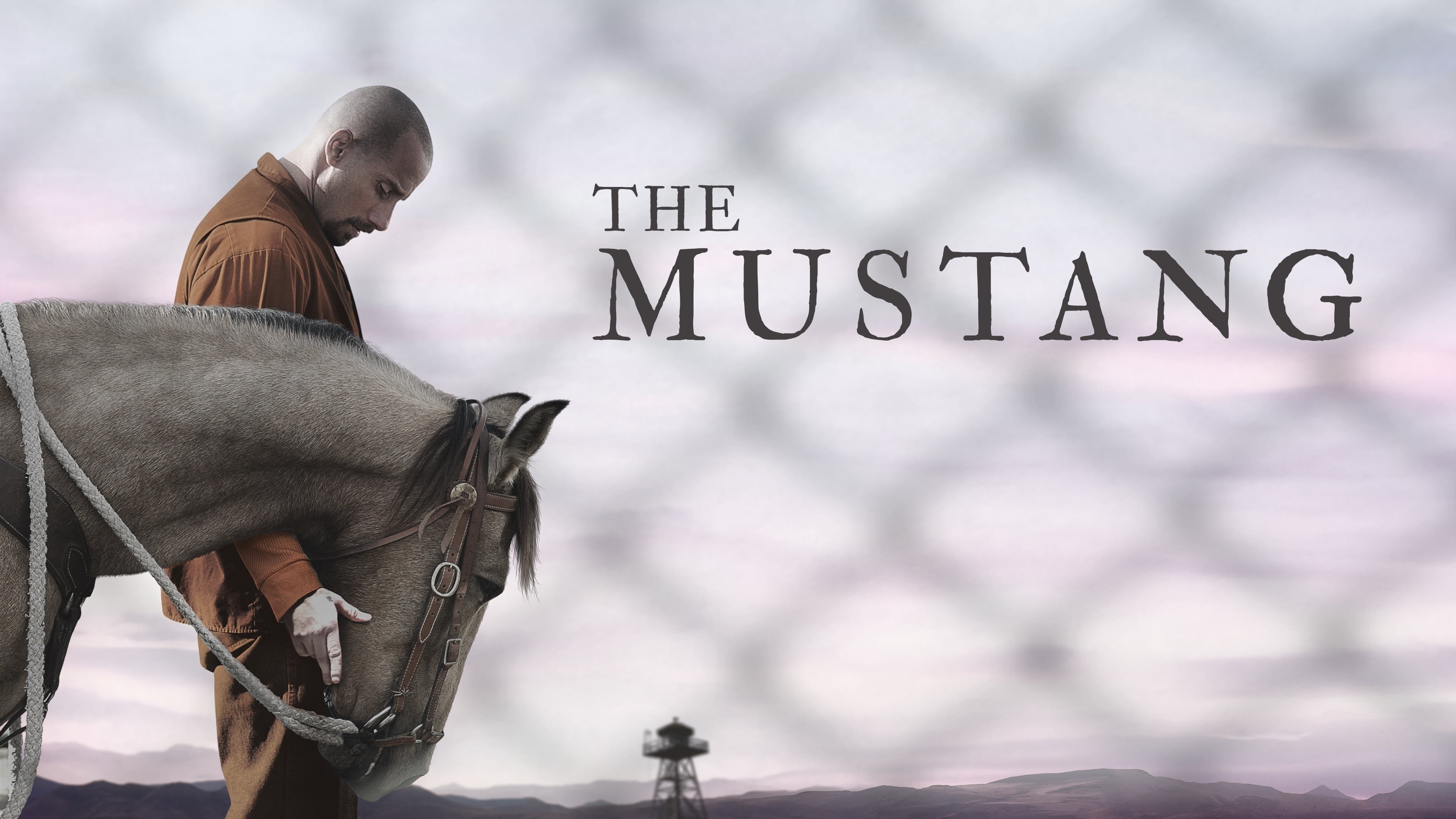 Foto de THE MUSTANG