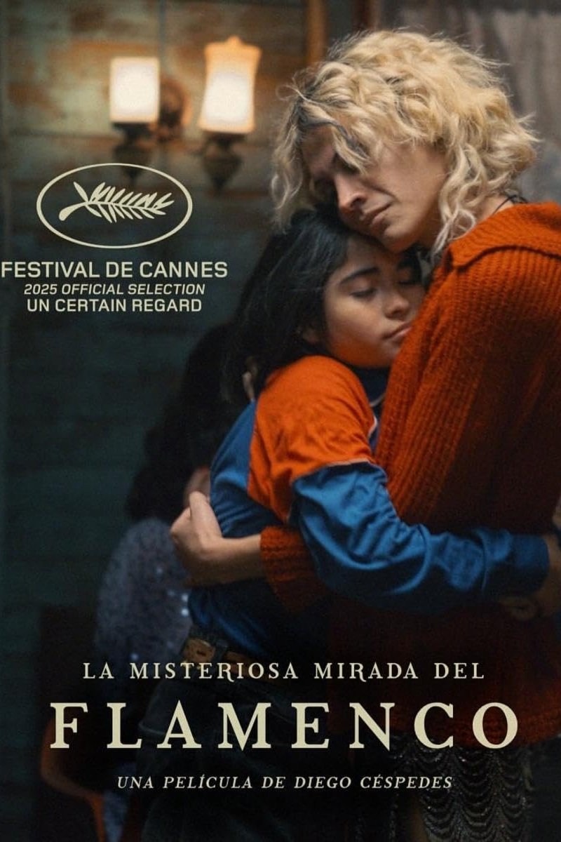 Poster de LA MISTERIOSA MIRADA DEL FLAMENCO en español