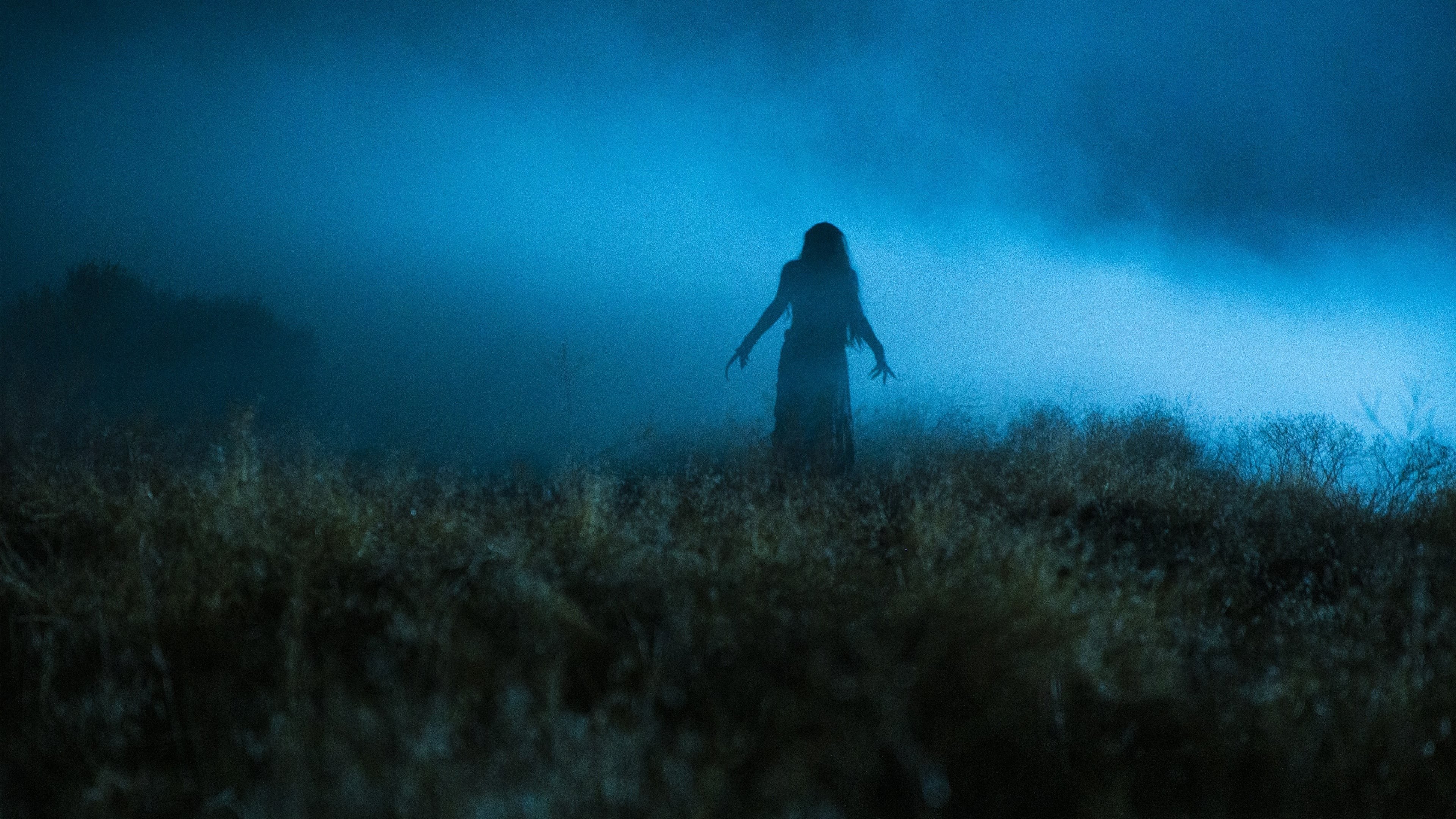 Foto de THE NAMELESS DAYS