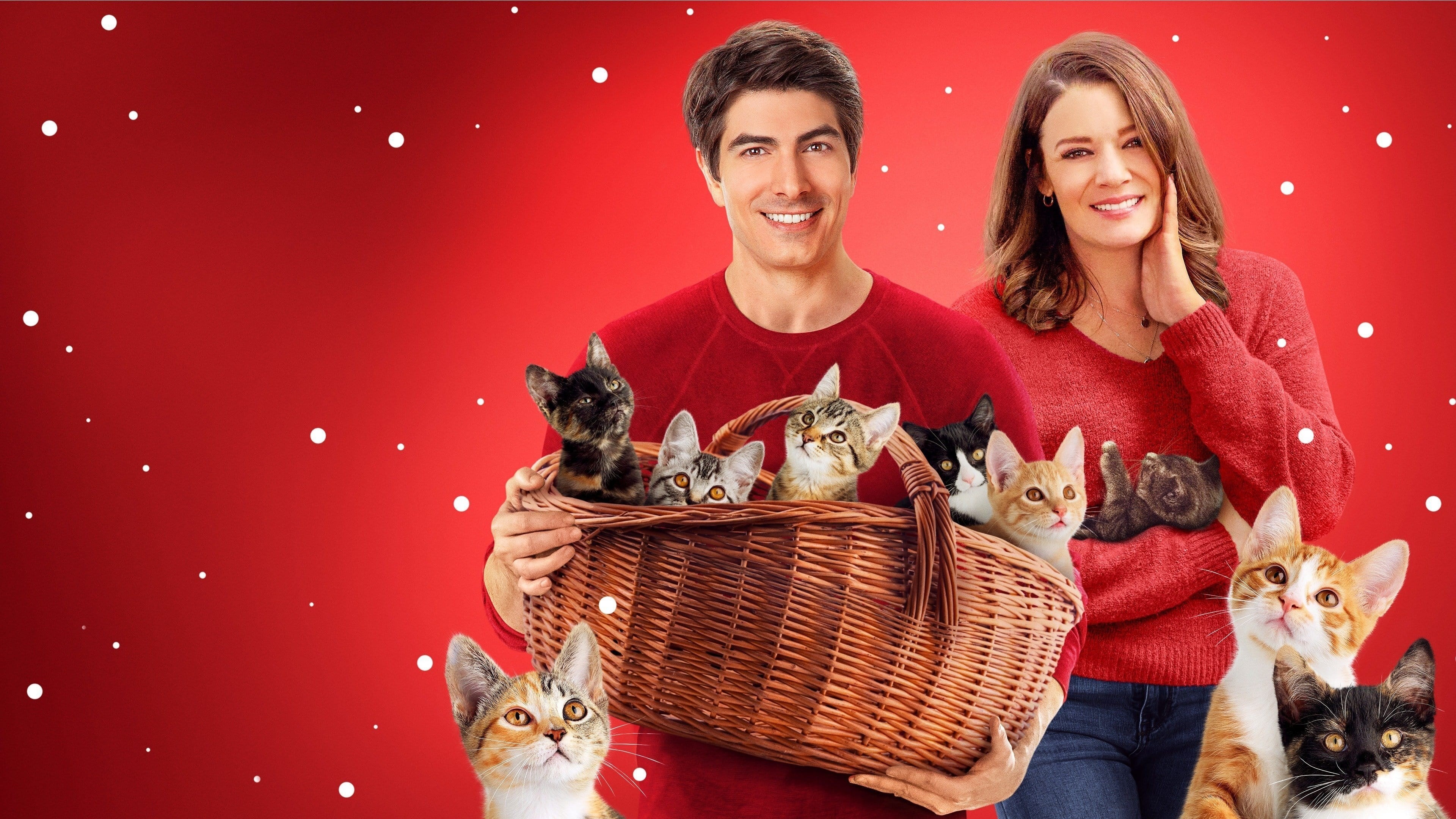 Foto de THE NINE KITTENS OF CHRISTMAS