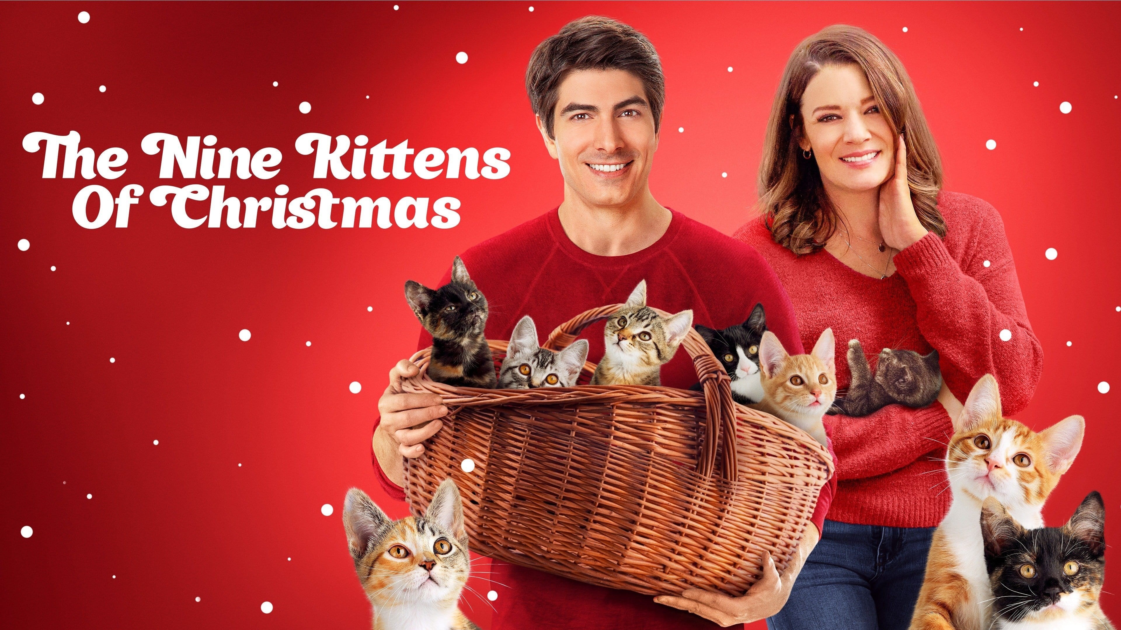 Foto de THE NINE KITTENS OF CHRISTMAS