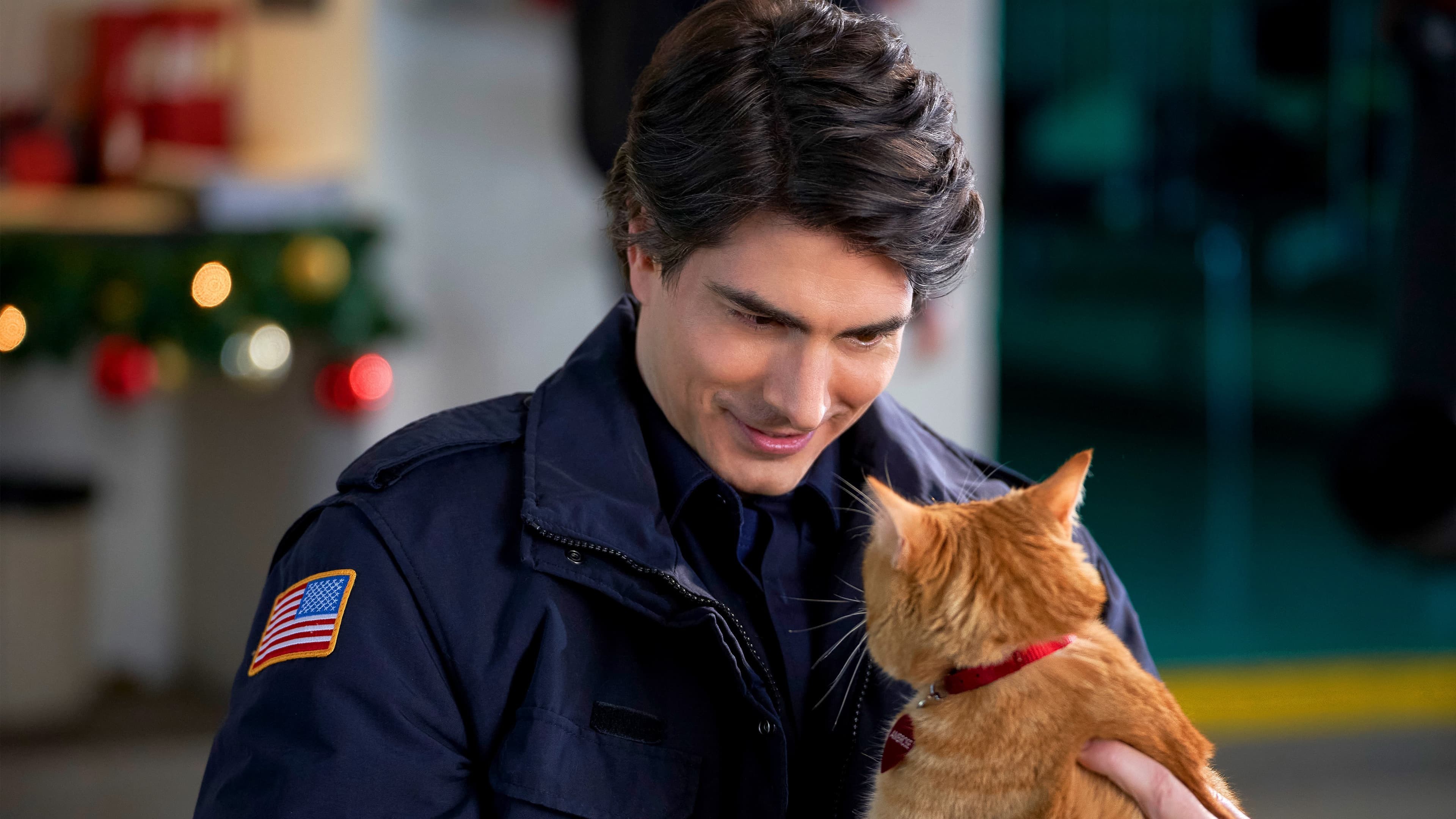 Foto de THE NINE KITTENS OF CHRISTMAS