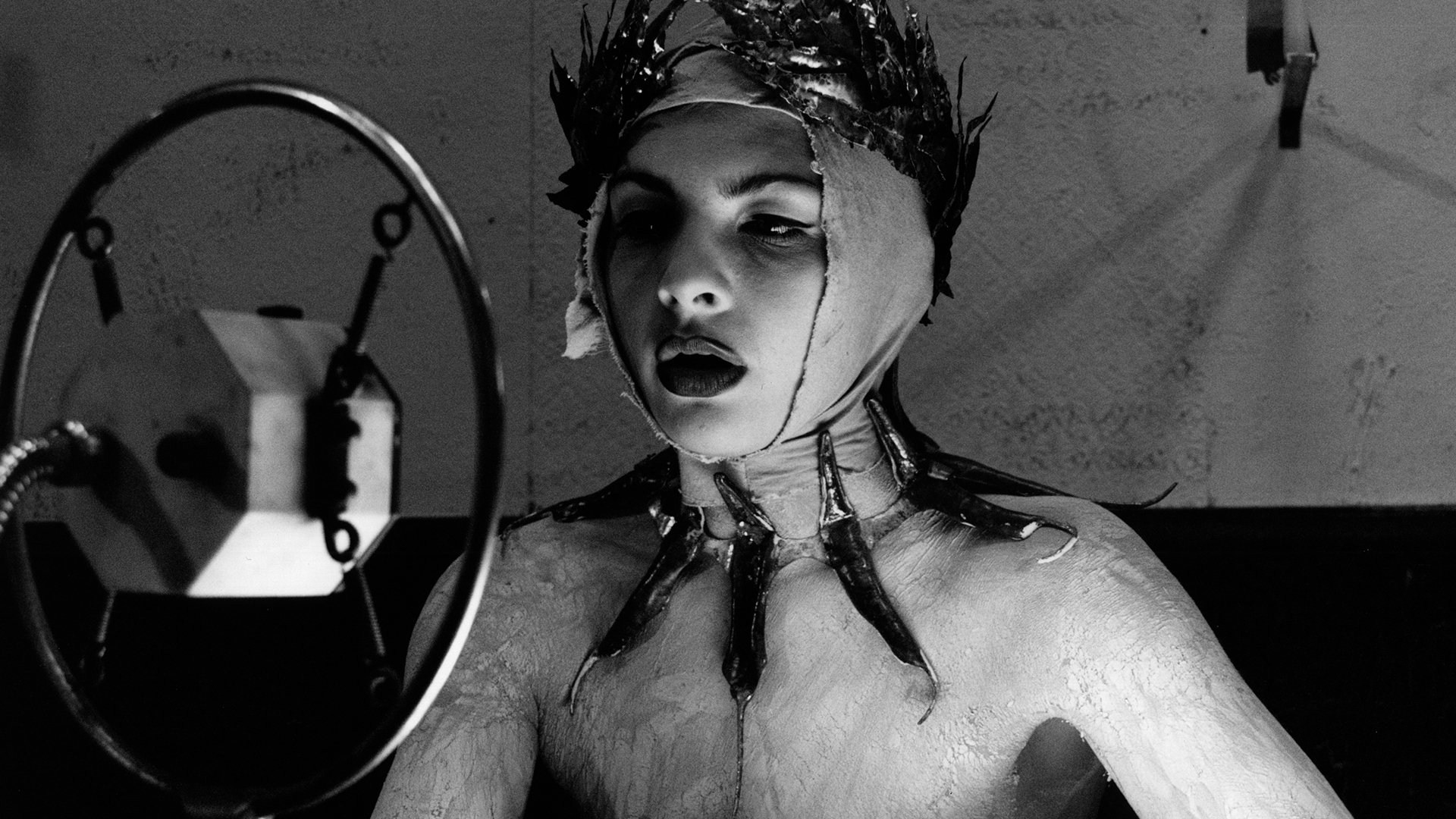 Foto de THE NINE LIVES OF TOMAS KATZ