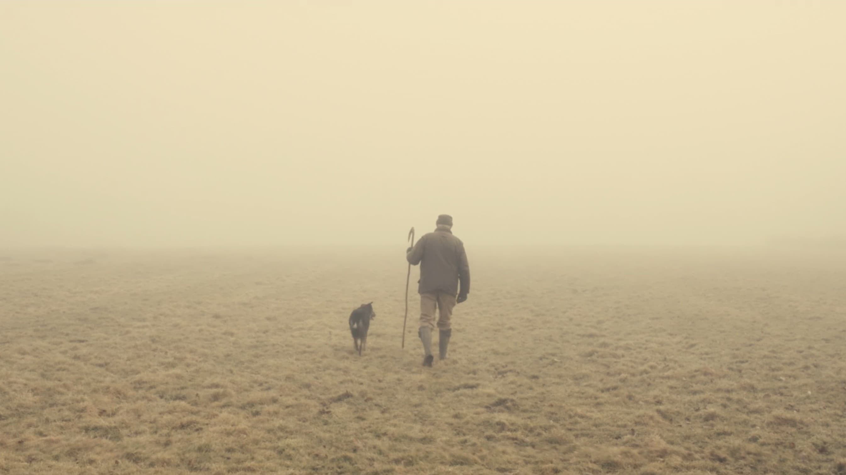 Foto de THE OLD MAN AND THE LAND