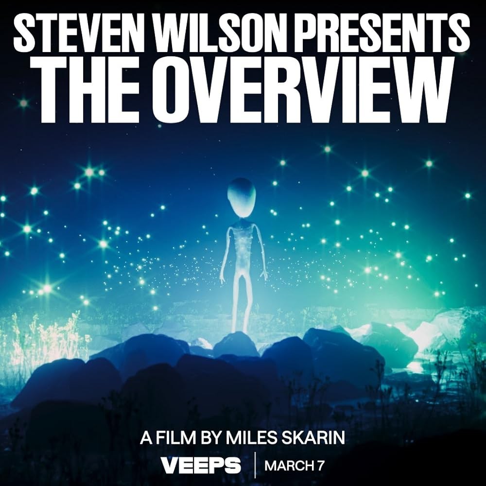 Poster de THE OVERVIEW