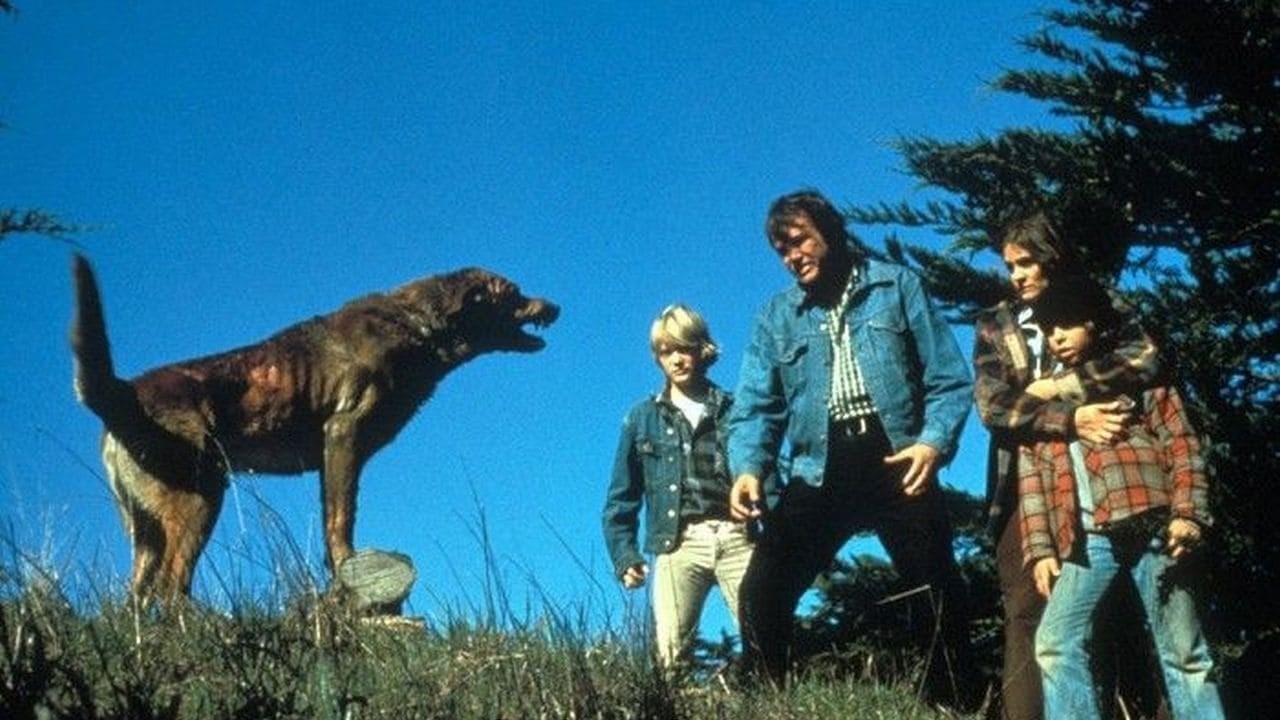 Foto de THE PACK