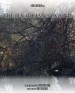 The Politician's Wound