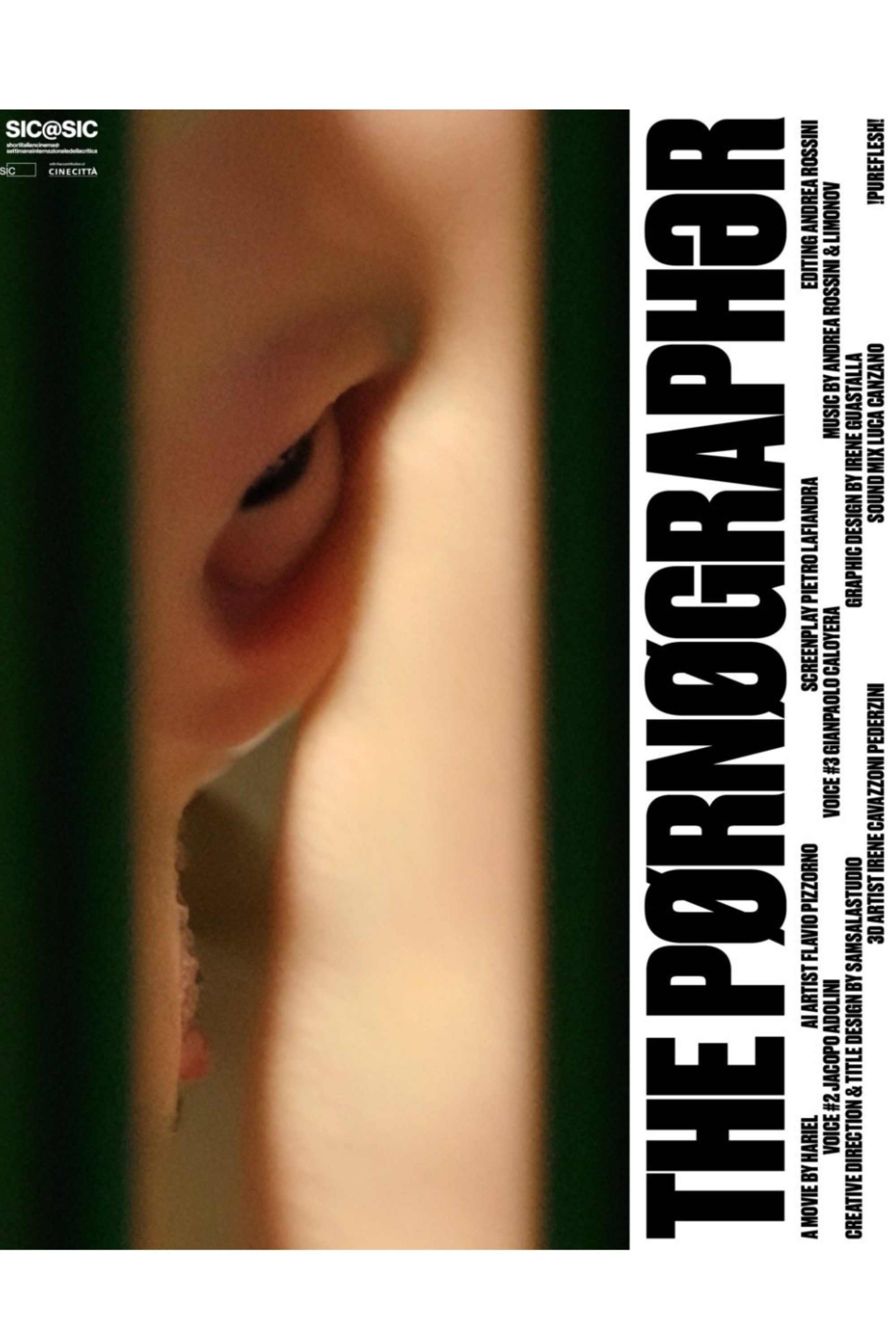 Poster de THE PØRNØGRAPHER