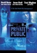 The Private Public