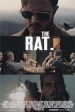 The Rat.