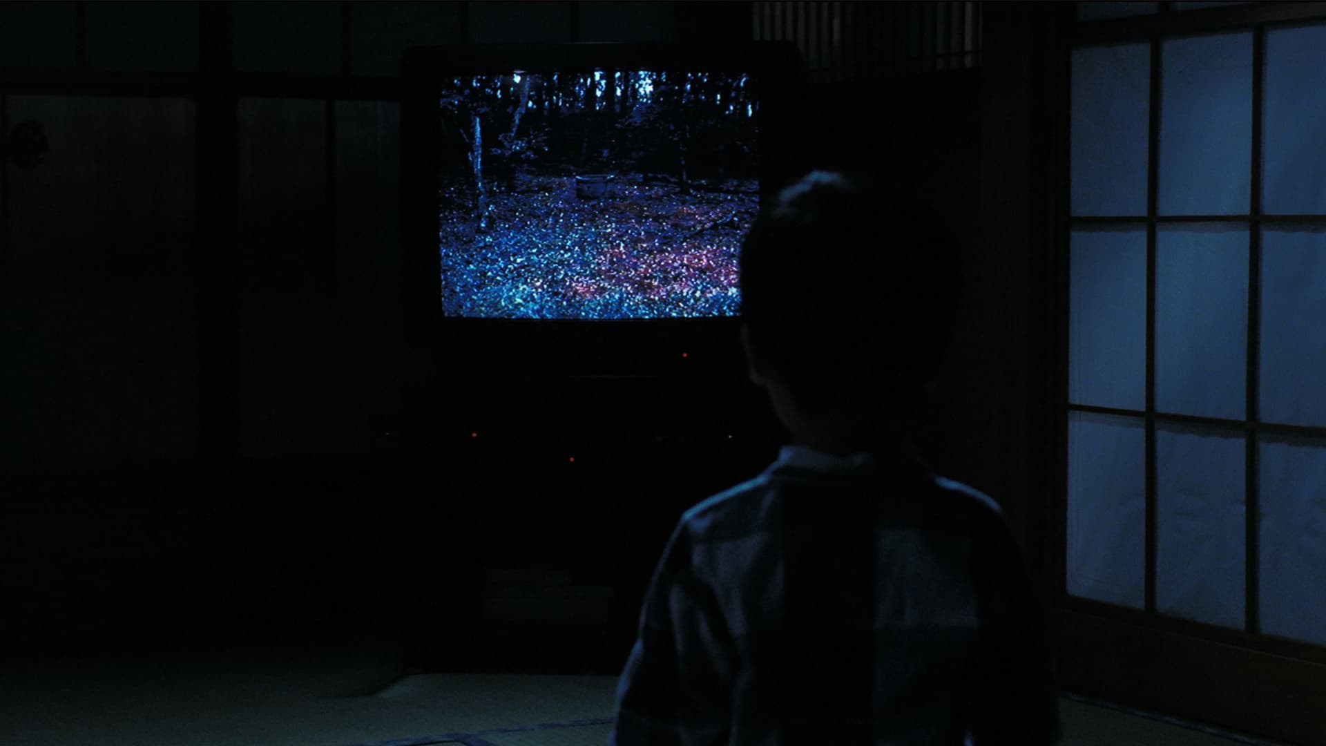 Foto de THE RING (EL CÍRCULO)