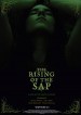 The Rising of the Sap