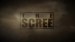 The Scree