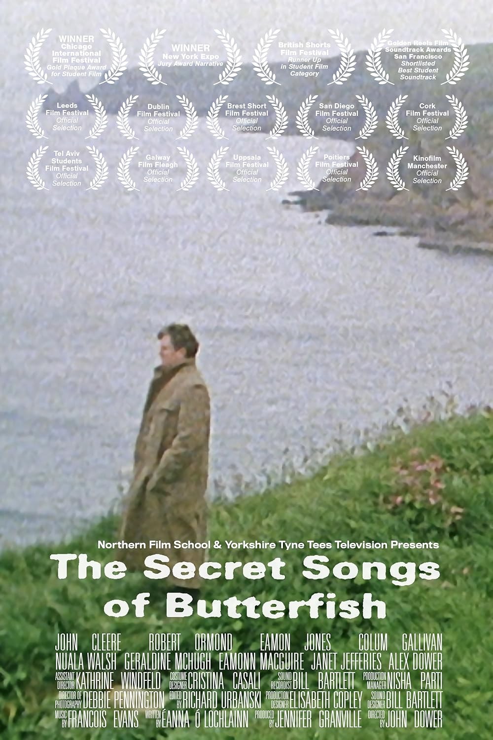 Poster de THE SECRET SONGS OF BUTTERFISH
