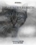 The Seeker's Rebirth
