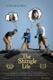 The Shingle Life