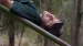 The Slide