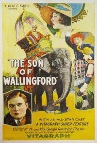 Película The Son of Wallingford