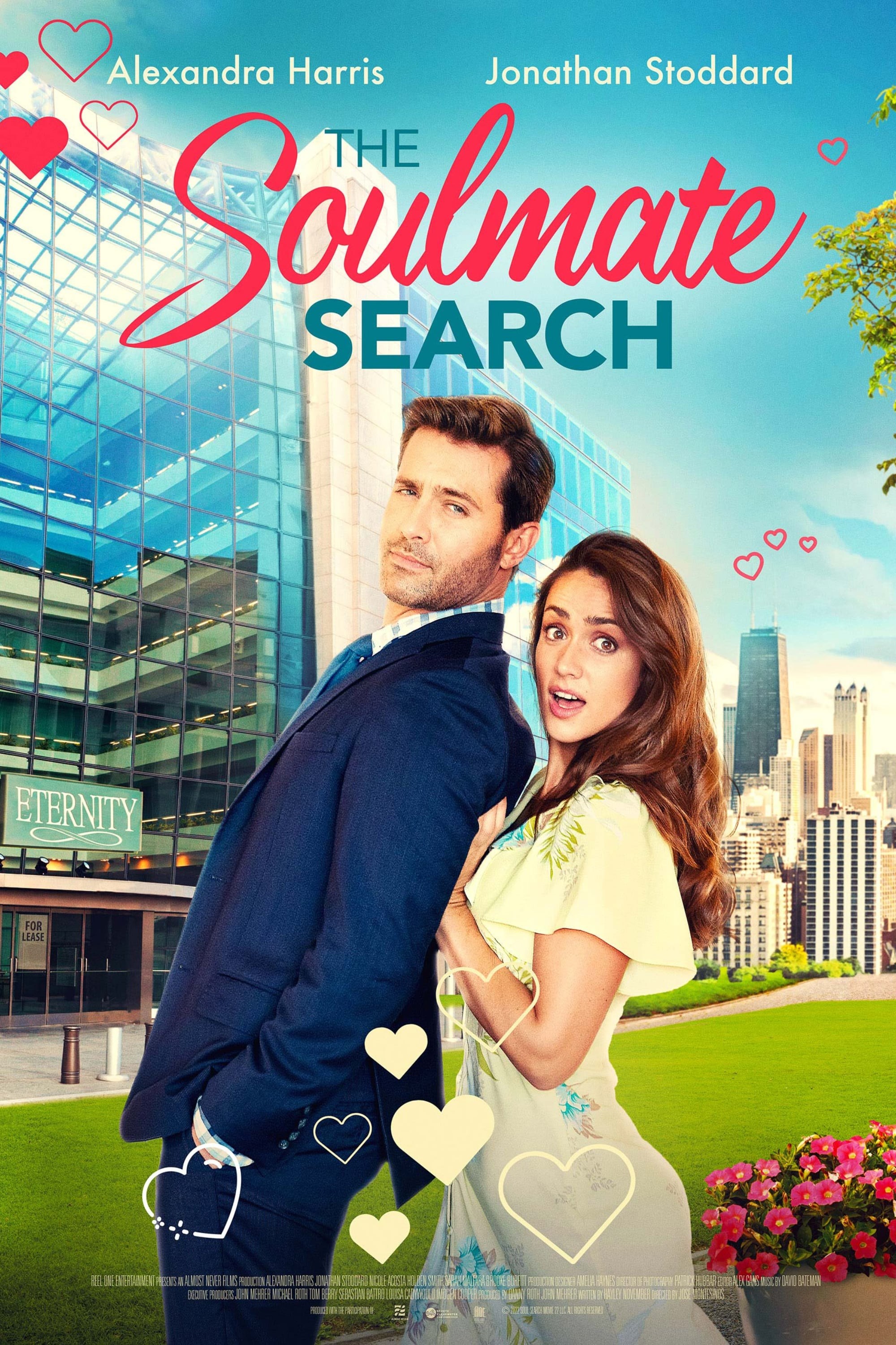 Poster de THE SOULMATE SEARCH en inglés