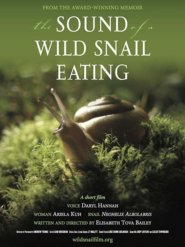 Poster de THE SOUND OF A WILD SNAIL EATING