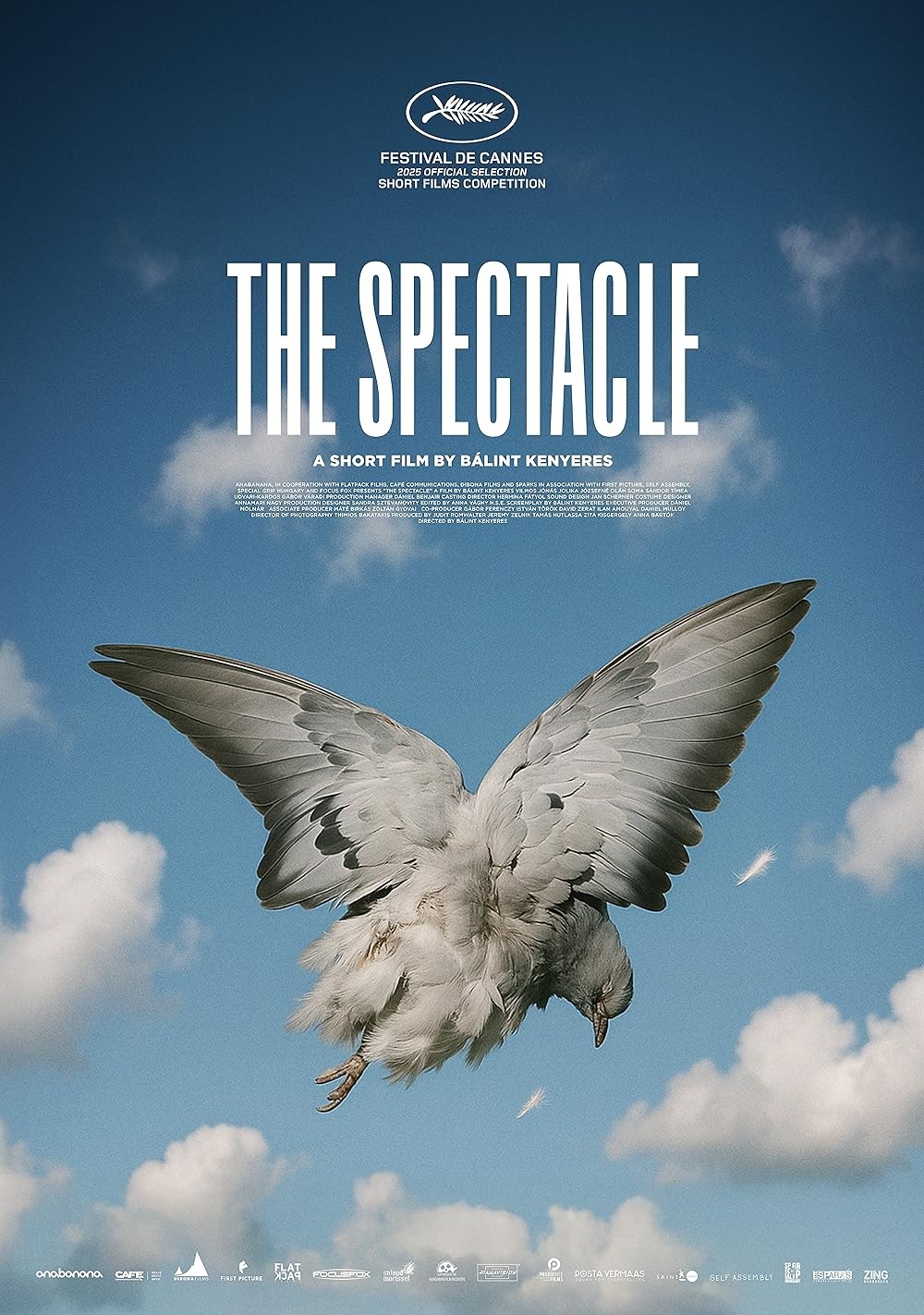 Poster de THE SPECTACLE