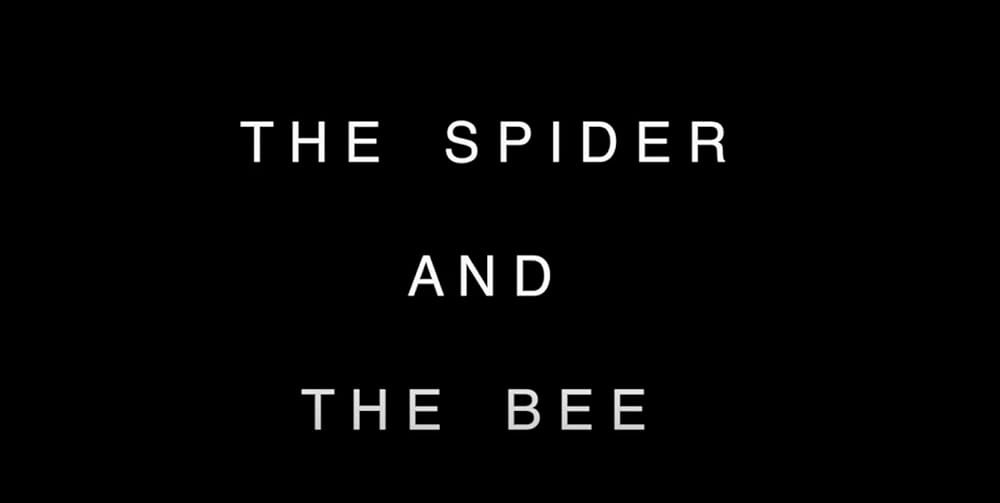 Poster de THE SPIDER AND THE BEE