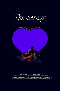 The Strays
