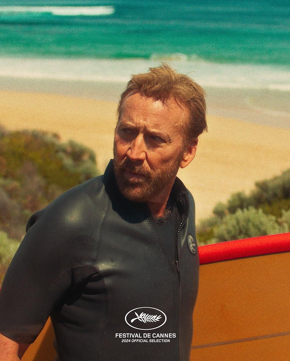 Poster de THE SURFER