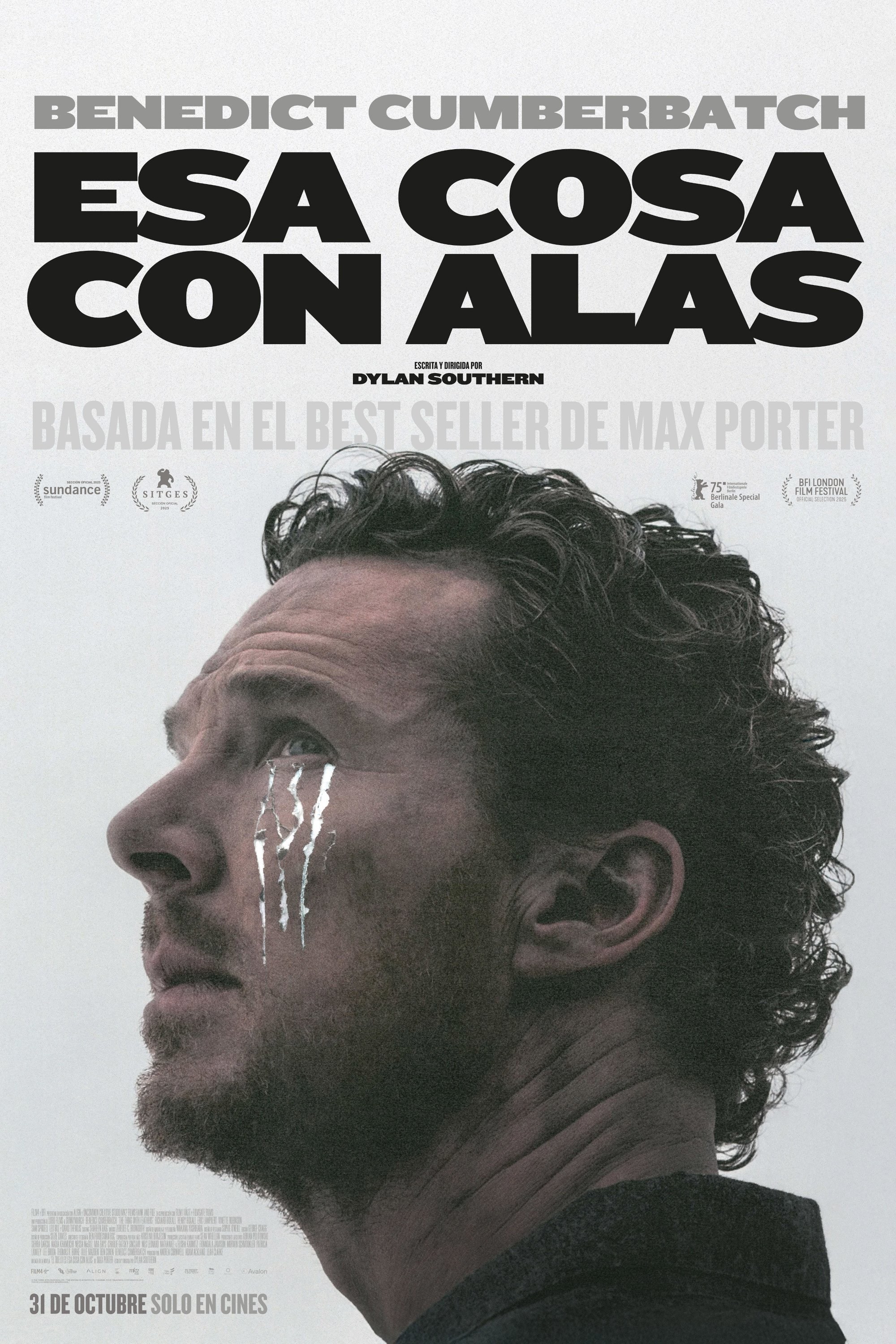 Poster de ESA COSA CON ALAS en español